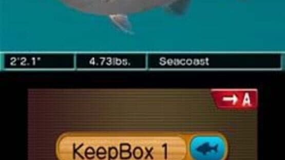 Reel Fishing Paradise 3D screenshot 4