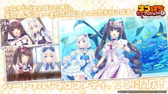 Nekopara Love Project Vol. 1 screenshot 5
