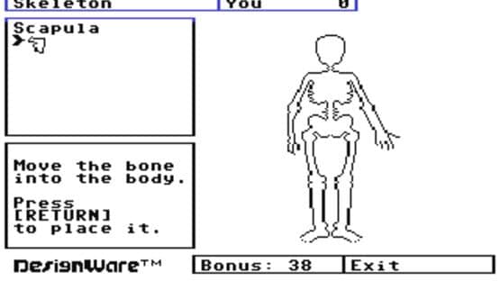The Body Transparent screenshot 2