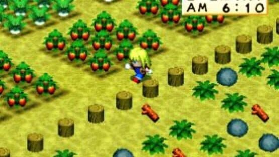 Harvest Moon for Girl screenshot 5