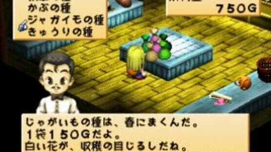 Harvest Moon for Girl screenshot 4