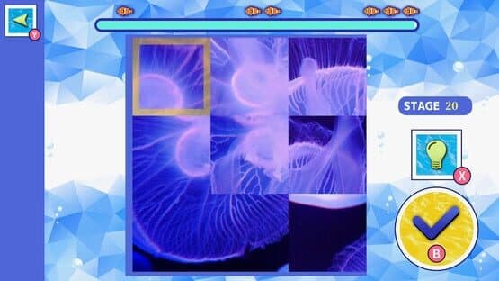 Brain Workout! Jellyfish Puzzle screenshot 3