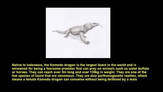 Quiz & Learn: Animals screenshot 3