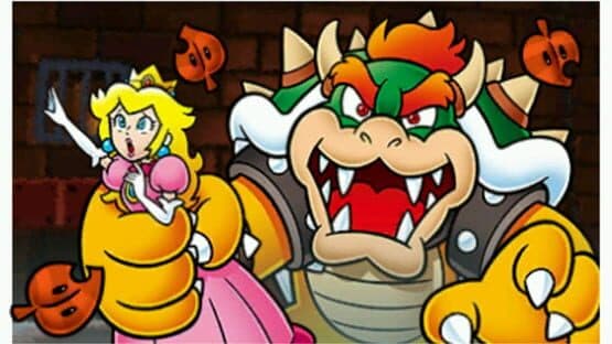 Super Mario 3D Land screenshot 8