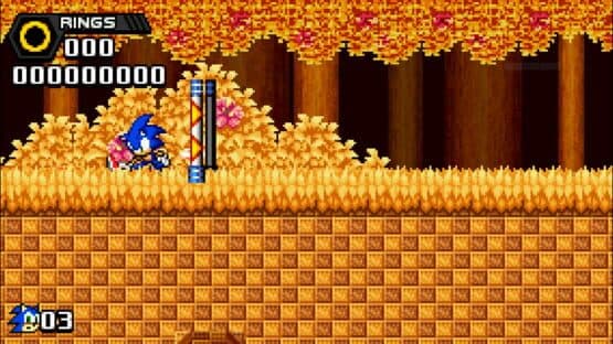 Sonic Seasons screenshot 2