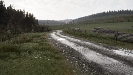 Assetto Corsa Rally screenshot 3