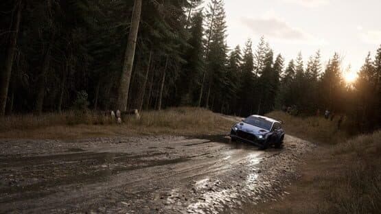 Assetto Corsa Rally screenshot 4