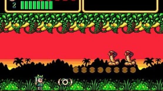 Wonder Boy III: Monster Lair screenshot 6