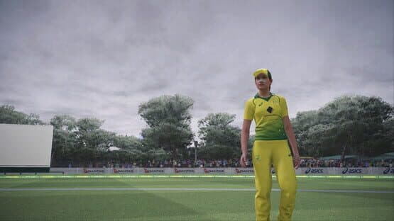 Ashes Cricket screenshot 3