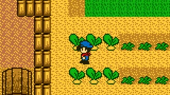 Harvest Moon GB screenshot 7