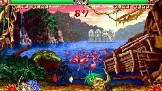 Samurai Shodown Anthology screenshot 10