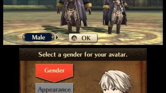 Fire Emblem Awakening screenshot 11