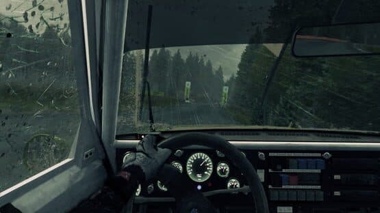 Dirt 3 screenshot 2