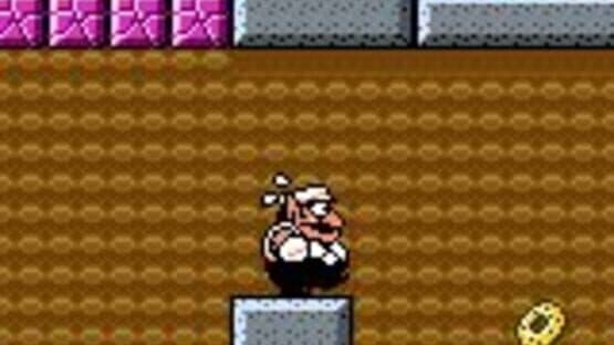 Wario Land 3 screenshot 5