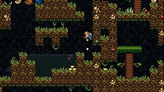 Spelunky Classic screenshot 2