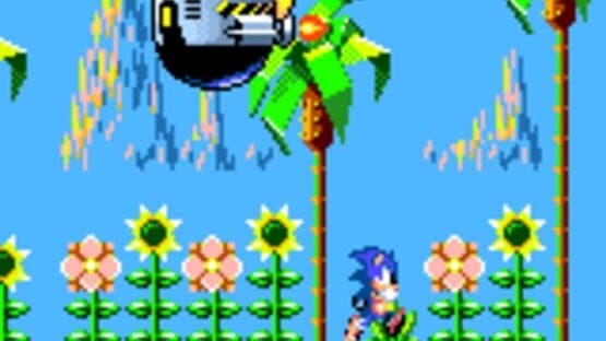 Sonic the Hedgehog screenshot 2