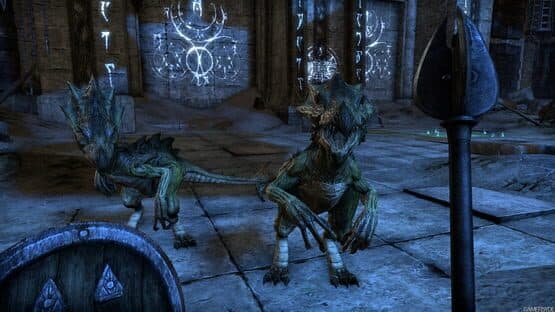 The Elder Scrolls Online screenshot 5