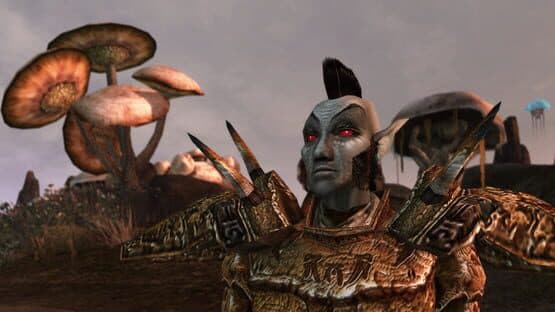 The Elder Scrolls III: Morrowind screenshot 4