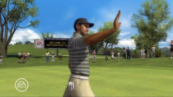 Tiger Woods PGA Tour 08 screenshot 4