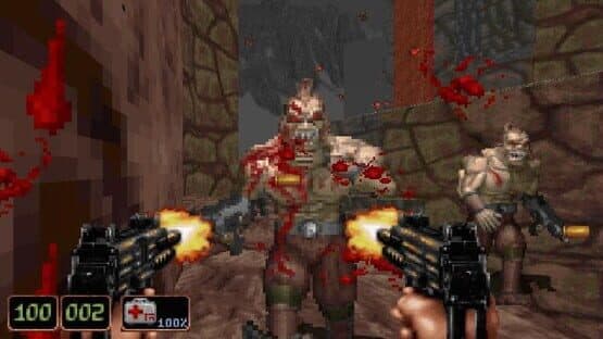 Shadow Warrior screenshot 2