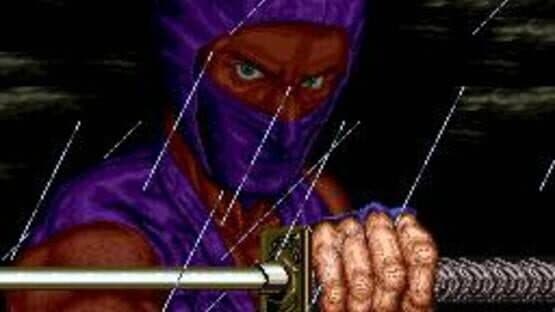 Ninja Gaiden screenshot 8