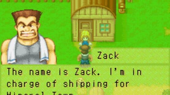 Harvest Moon: More Friends of Mineral Town screenshot 6