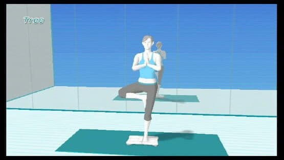 Wii Fit screenshot 12