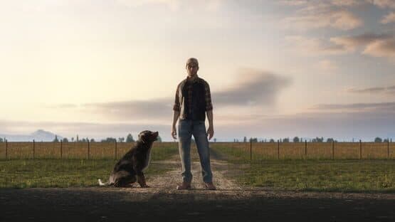 Farming Simulator 19 artwork 2