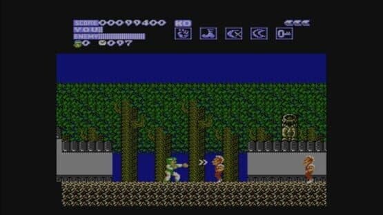 Flying Dragon: The Secret Scroll screenshot 3