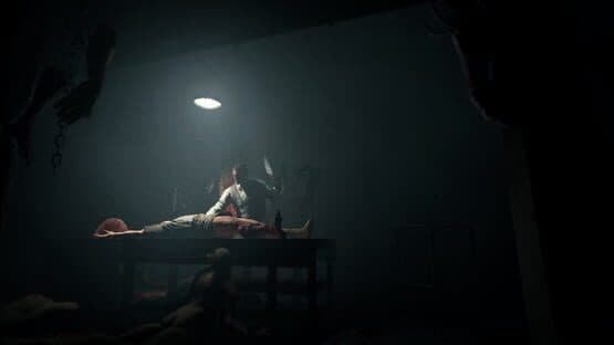 Outlast: Whistleblower screenshot 2