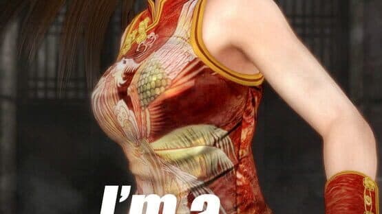 Dead or Alive 5 artwork 1