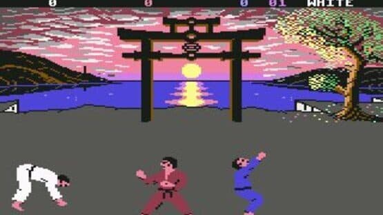 International Karate + screenshot 6