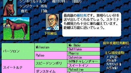 Winning Post screenshot 5