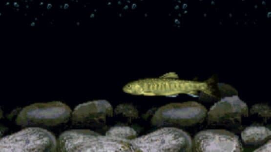 Kawa no Nushi Tsuri: Shizen-ha screenshot 3