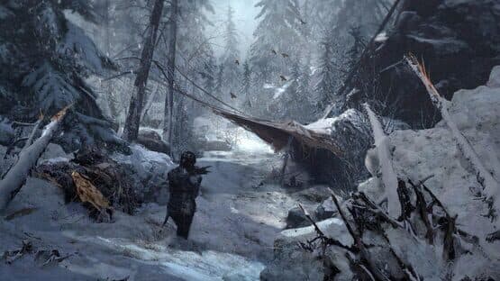 Rise of the Tomb Raider artwork 4