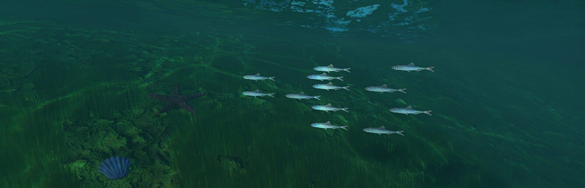 Dockside Dreams: Fish & Cook Simulator artwork 1