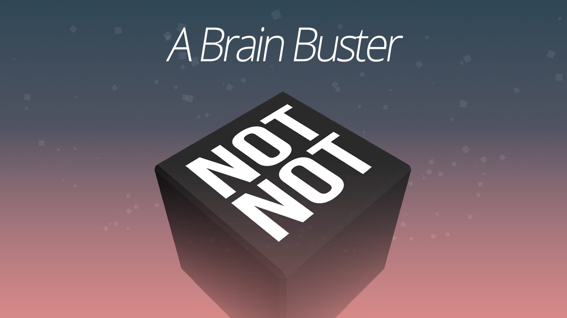 Not Not: A Brain Buster artwork 1