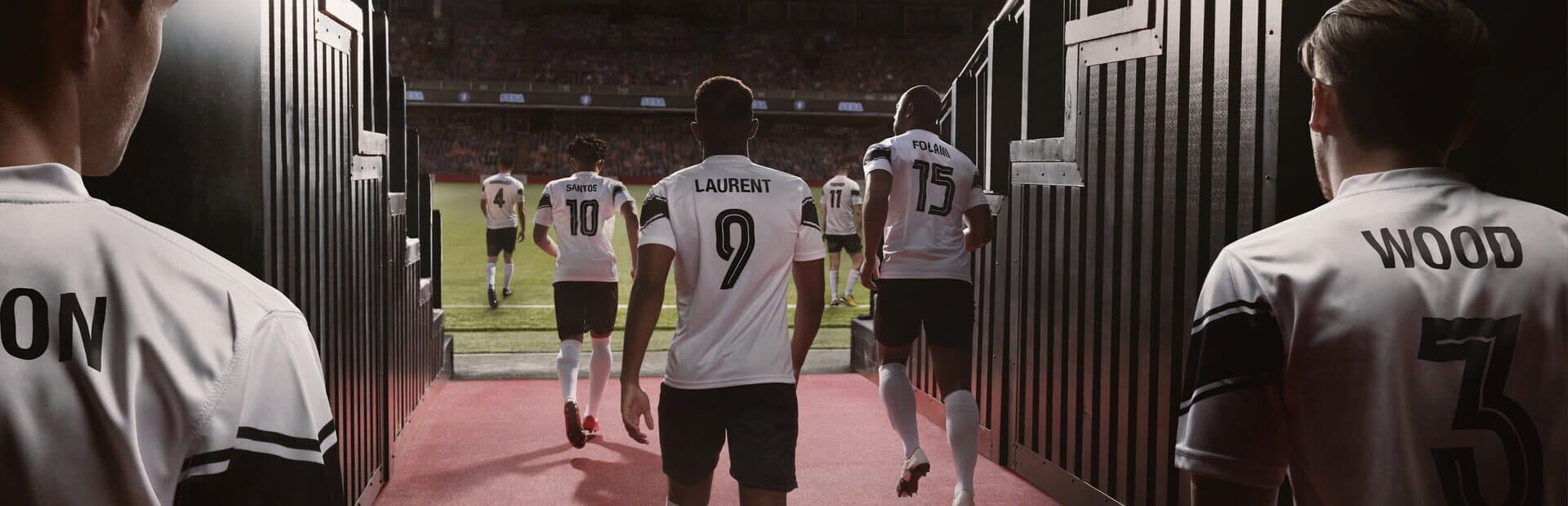 Football Manager 2019 artwork 1